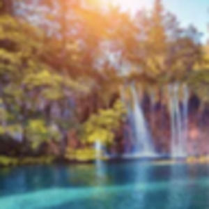 Meet your Posher, Ava